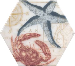 Плитка Kerama Marazzi HGD\A333\24020 Керамический декор 20x23,1x0,69 Эль Салер глянцевый