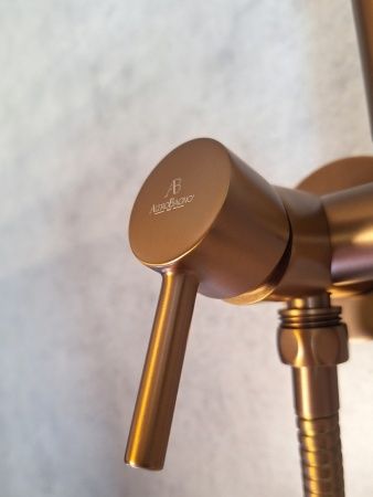 Встраиваемый гигиенический душ AltroBagno Modern 060123 RaSp