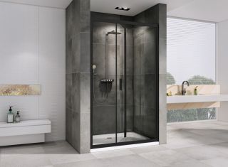 Душевая дверь ABBER Sonnenstrand AG07100B 100 см профиль чёрный стекло прозрачное
