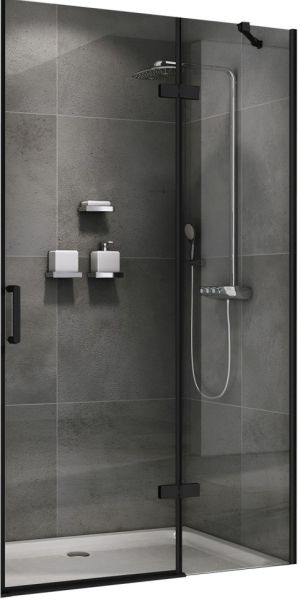 Душевая дверь ABBER Zart 120см чёрный AG08120B