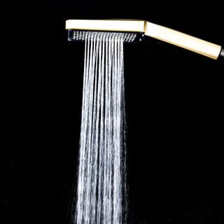 Душевая лейка Frap F025 Золотой сатин