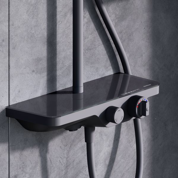 Душевая системма Damixa Apollo 947760300 с термостатом и с полкой черная