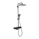Душевая стойка Gappo G2495-16 с термостатом чёрный Душевая стойка Gappo G2495-16 с термостатом чёрный