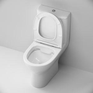 Унитаз компакт Damixa Luna DX46C8600SC с бачком и сиденьем Микролифт