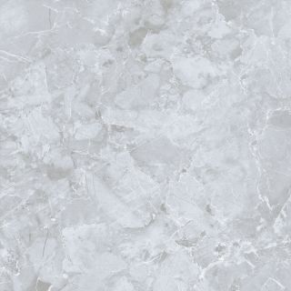 Керамогранит Dako E-3019/MR/600x600 Минерал Серый 60x60