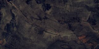 Керамический гранит Azario ФОССИЛ АГАТ P231123003HG 80х160 высокоглянцевая