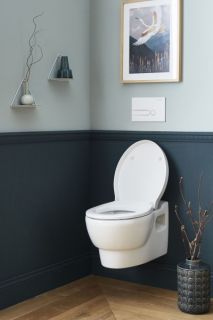 Крышка биде Jacob Delafon OVE E70005-00