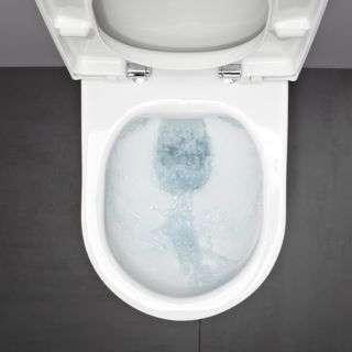 Унитаз подвесной Laufen Pro 6.2096.6.395.000.1 (8.2096.6.000.000.1 + 8.9395.9) белый