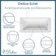 Ванна чугунная Delice Eclat DLR230621R 170х70 с отверстиями под ручки Ванна чугунная Delice Eclat DLR230621R 170х70 с отверстиями под ручки