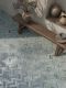 Керамогранит Eco Ceramic Коимбра зеленый 89256, 40x60