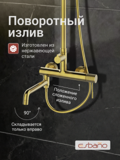 Душевая система ESBANO DAISY (DS-SG) брашированное золото