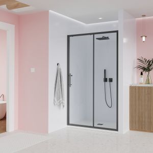 Душевая дверь Veconi Evo 100 GR, 1000x1950, графит брашинг, стекло прозрачное