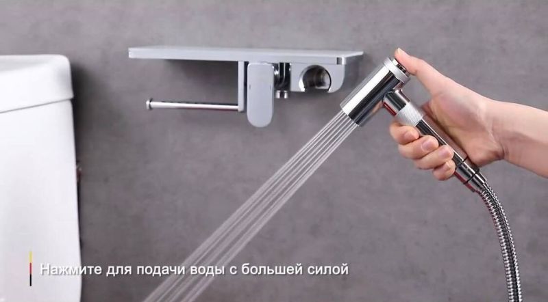 Гигиенический душ Gappo G7295-10 с полочкой и бумагодержателем хром