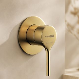 Смеситель для душа WasserKRAFT Rhein 9951BG золото матовое