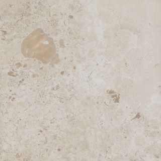 DD641020R Про Лаймстоун серый светлый натуральный обрезной 60x60x0,9  (1,44)