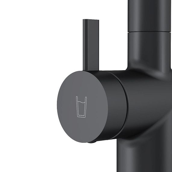 Смеситель для кухни Am.Pm Func F8F05722 черный