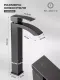 Смеситель для раковины Filarete Waterfall FL6010BG графит