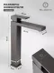 Смеситель для раковины Filarete Fing FL6040BG графит