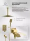 Душевой комплект Filarete Waterfall FL1012MG золото матовое