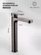 Смеситель для раковины Filarete Retta FL6030BG графит