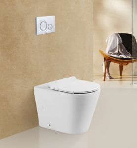 Унитаз приставной BelBagno Flay-R BB1003CBR