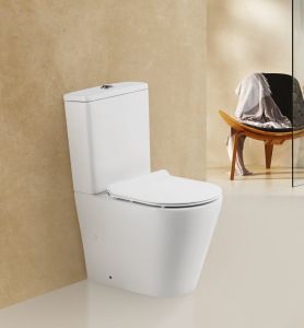 Чаша напольного унитаза BelBagno Flay-R BB2149CPR