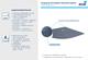 Душевой поддон RGW ST/R-G 16153100-02 100x100см графит