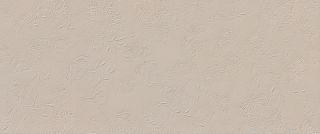 Керамогранит Fap fTD1 True Color Wind Fossil Matt 50x120