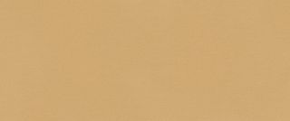 Керамогранит Fap fTDS True Color Caramel Matt 50x120