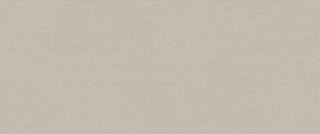 Керамогранит Fap fTDU True Color Fossil Matt 50x120