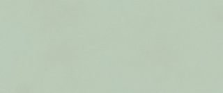 Керамогранит Fap fTDV True Color Matcha Matt 50x120