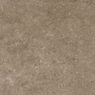 Керамогранит Гранитея G214Н60 Аркаим коричневый неполированный  60х60см Granitea G214