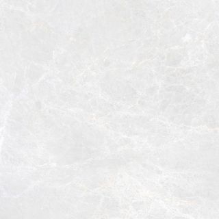 Керамогранит Гранитея Синара Элегантный G311П60 Gloss 60x60 см полированный
