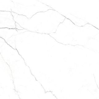 Керамогранит Гранитея Нейва Элегант G391П60 Gloss 60x60 см полированный