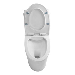 Унитаз-моноблок Azario Bais AZ-5003 безободковый белый