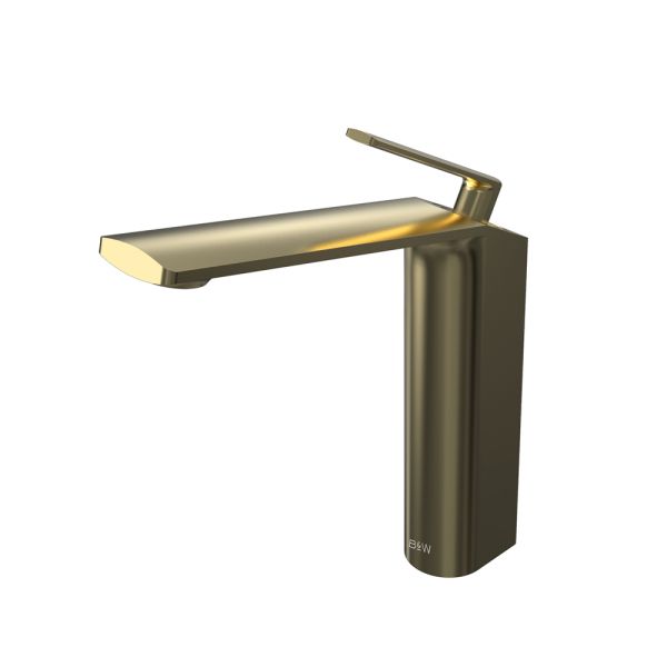 Смеситель для раковины Black&White Gravity 7204BG брашированное золото