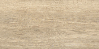 Керамогранит Alma Ceramica GFA3060BWD24R матовый Брентвуд / Brentwood 300х600