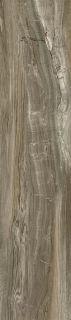 Керамогранит Alma Ceramica GFA92WDW44R матовый Вандервуд / Wonderwood 200x900