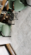 Керамогранит Alma Ceramica GFU6060TTM17R матовый Тотем / Totem 600x600