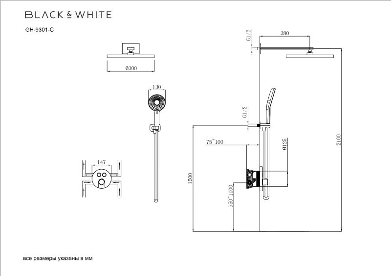 Душевой комплект Black&White Gravity 9301GM с термостатом оружейная сталь