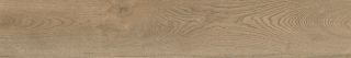 Керамогранит Artkera Group Натуралвуд орех / Naturalwood Nut GP20120NAT11 200x1200х9 матовый