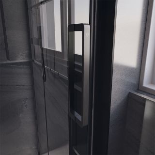Душевая дверь Veconi Premium Trento PTD-40B, 1500х2000, черный матовый, стекло прозрачное