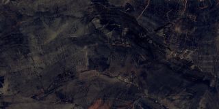 Керамический гранит Azario ФОССИЛ АГАТ P231123003HG 80х160 высокоглянцевая