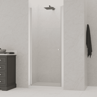 Душевая дверь RGW Dolphin TN-03 54930309-11 90 см профиль хром стекло прозрачное