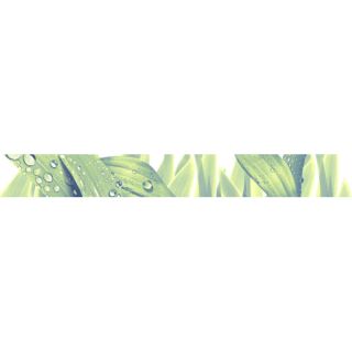 Бордюр Azori 583961001 ЭЛАРА триумф 5х40,5 (65шт)