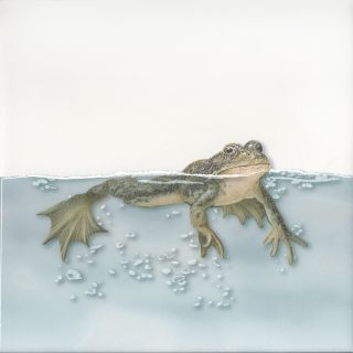 Плитка Kerama Marazzi VT\A471\5009 Декор Чудо-озеро 4 20x20x0,69