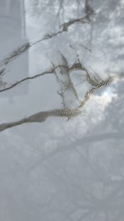 Керамогранит Realistik Атенс полированный золотой карвинг 77052, 60x120 (1,44)