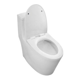Унитаз-моноблок Azario Bais AZ-5003 безободковый белый