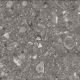 Керамогранит Idalgo Герда тёмно-серый ID9063E003LLR Soft Polish 60x60 см