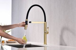 Смеситель для кухни Paulmark Leader Le214101-SBG светлое брашированное золото Смеситель для кухни Paulmark Leader Le214101-SBG светлое брашированное золото